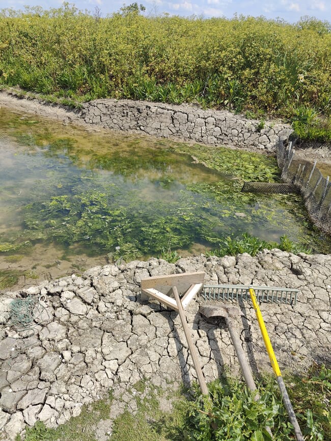 Some tools beside a pond.