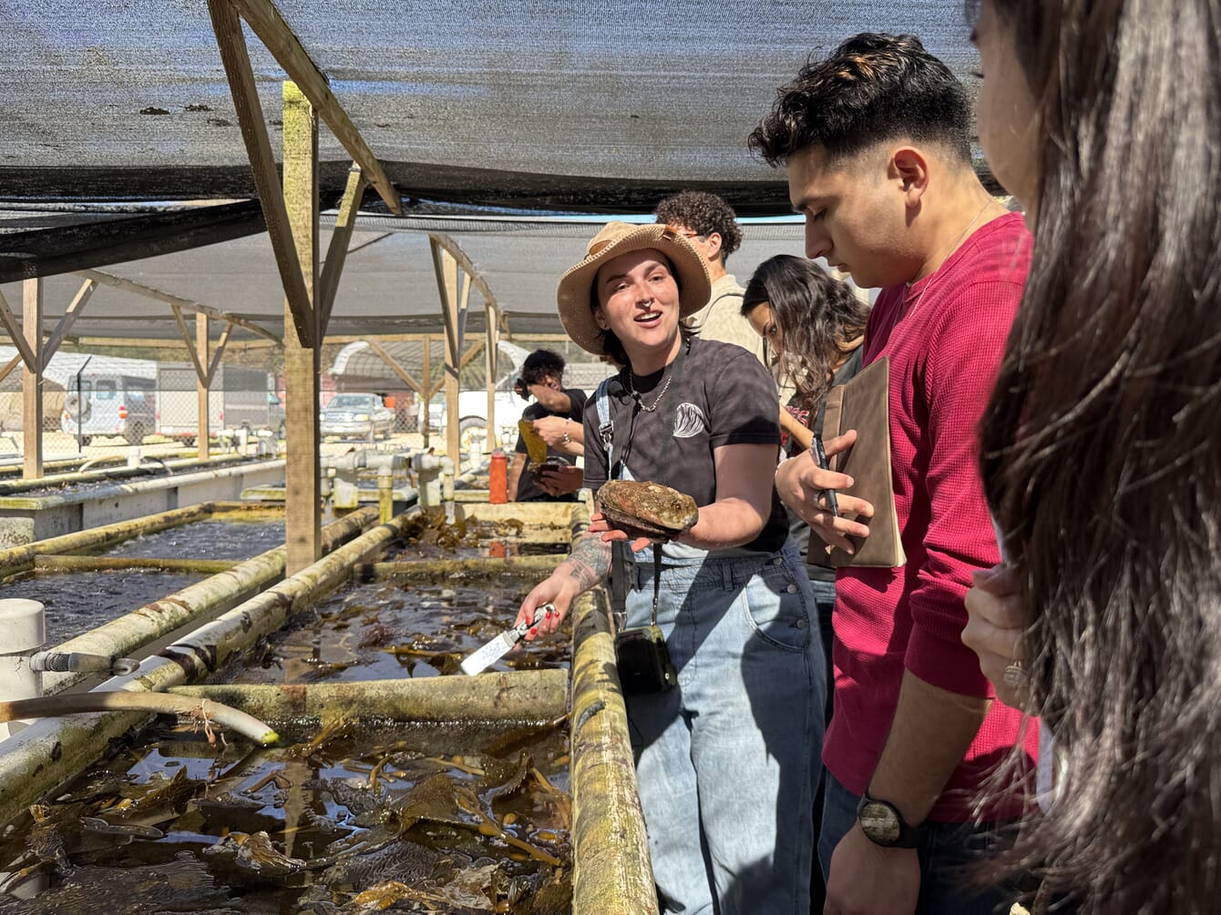 A person holding an abalone.