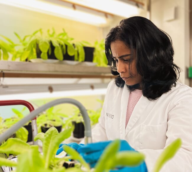 A scientist experimenting in a laboratory.