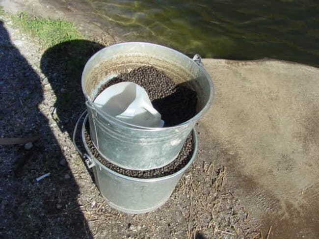 feed buckets near a fish pond