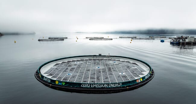 A floating solar-power at a farm.