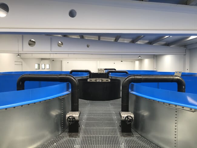 Alpha Aqua's salmon smolt solution with 7m diameter tanks