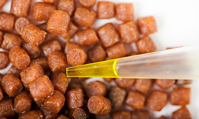 aquafeed pellets with an oil dropper