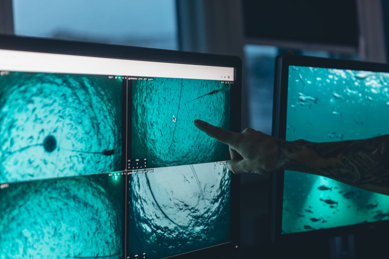 Screens showing camera footage from inside salmon pens.
