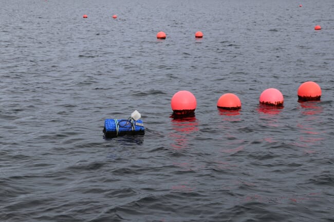 Seaweed farming floats.