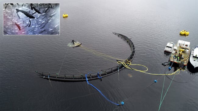 An aerial view of a submersible salmon pen.