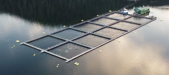An aerial view of a fish farm.