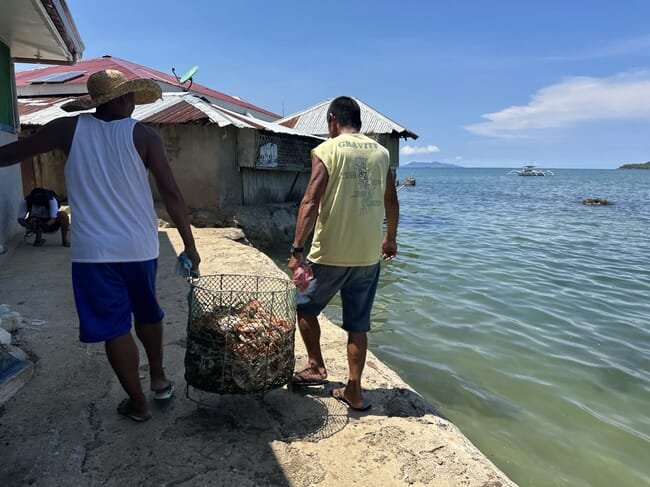 Two men carrying a large basket of crabs.