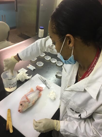 fish health diagnostics