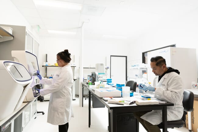 Two people working in a lab