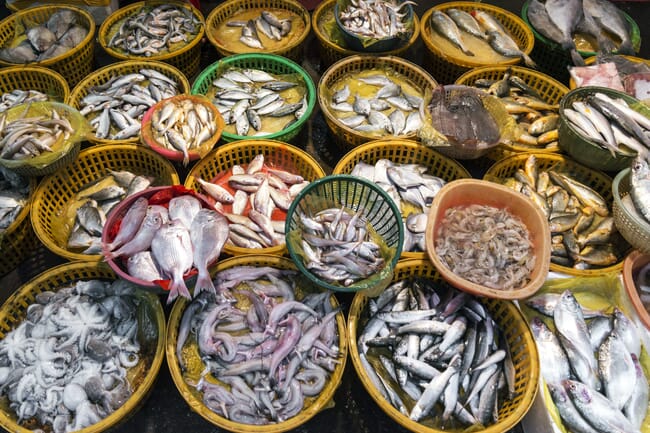 Fresh fish in plastic baskets at a seafood market