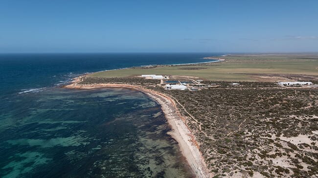 Clean Seas Seafood hatchery.