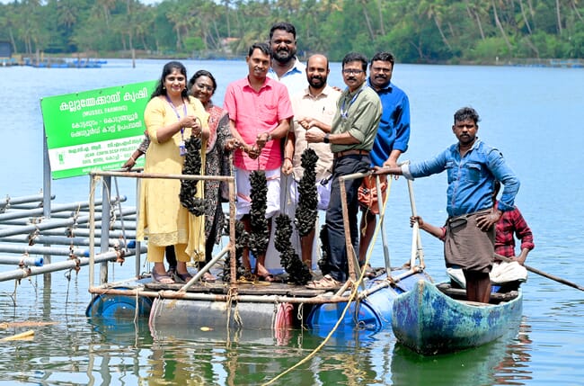 Farmers on a mussel farm.