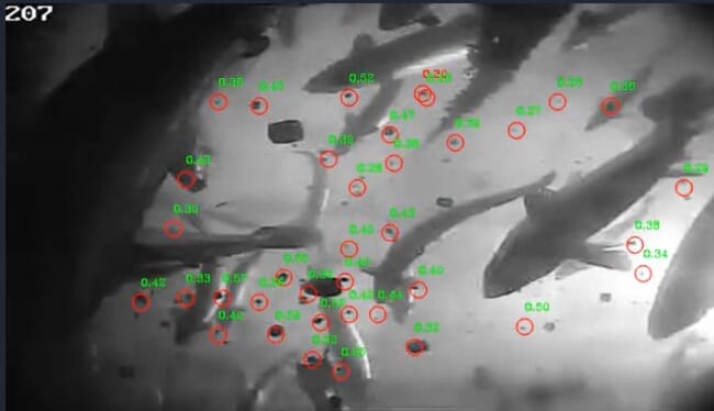 Aquaculture sensor image