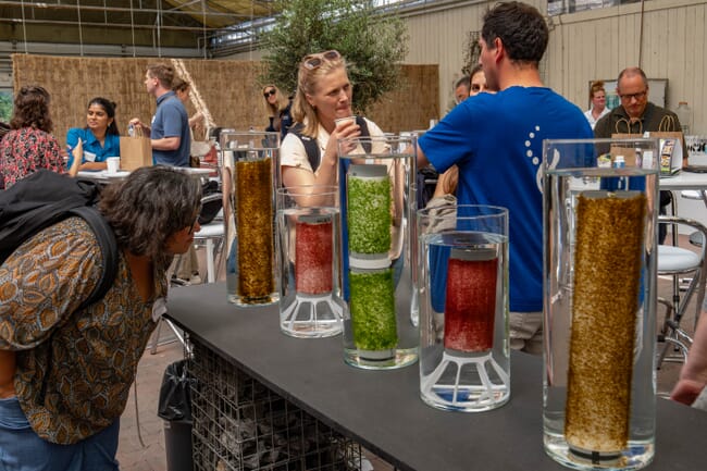A woman looking at cultured seaweed.