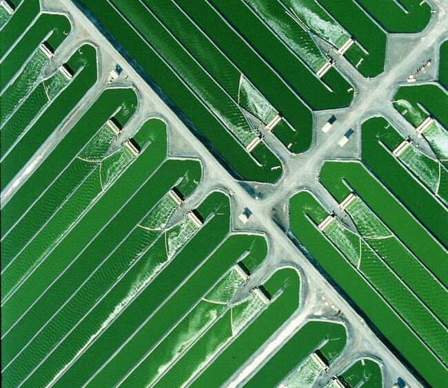 Aerial view of a microalgae farm.