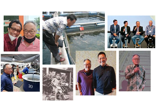 A compliation of photos from a card.