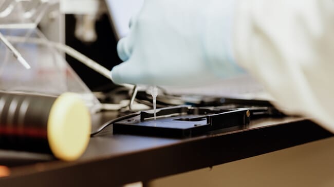 A close-up of a diagnostic test.