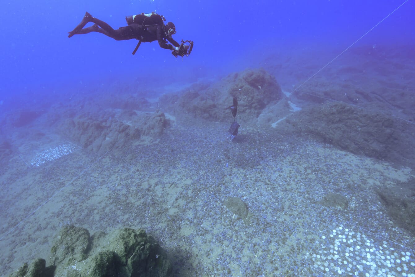 A scuba diver working underwater