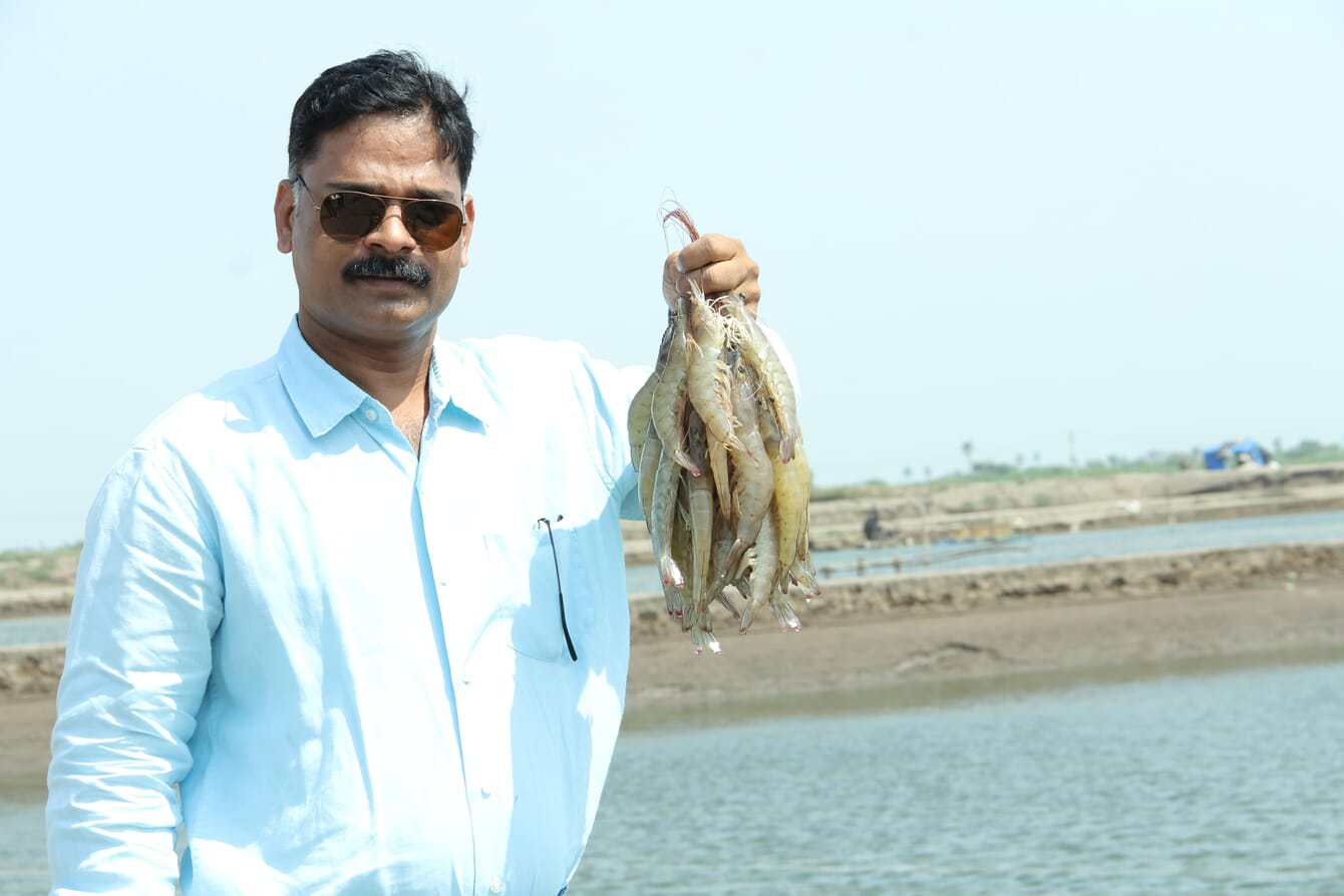 A man holding shrimp.