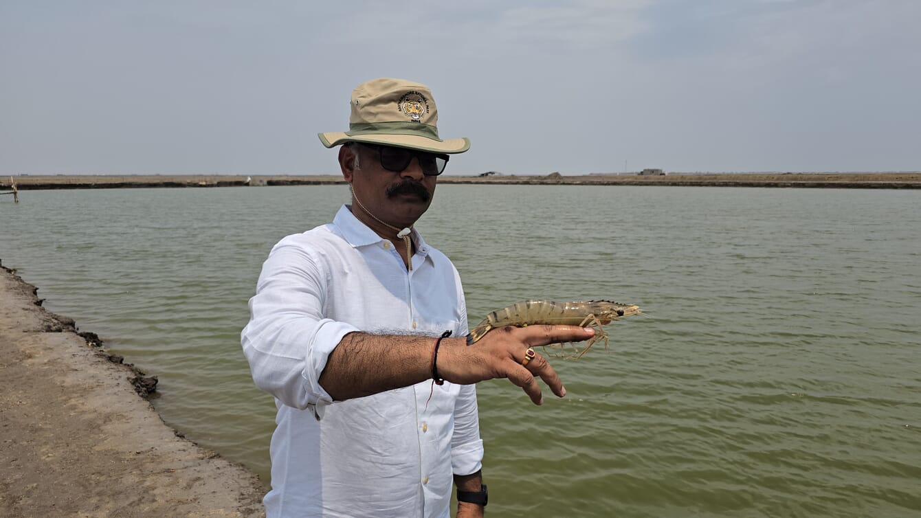 A farmer holding a shrimp.