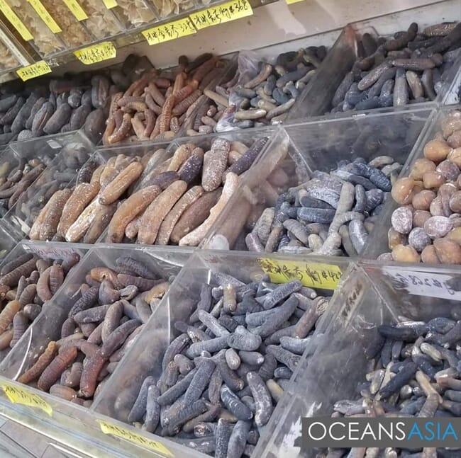 Dried sea cucumbers in boxes.