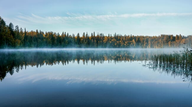 A view of the lake at sunrise.