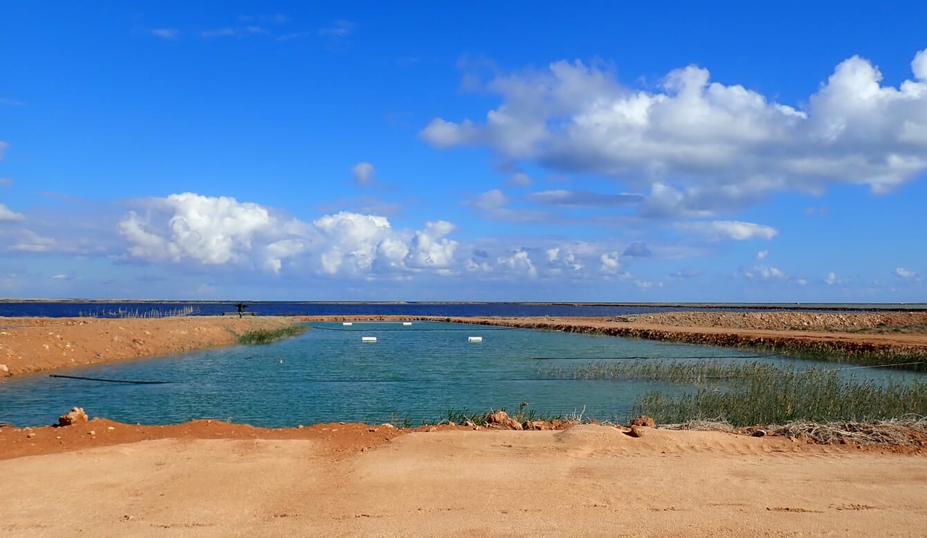 Fish farm in Libya