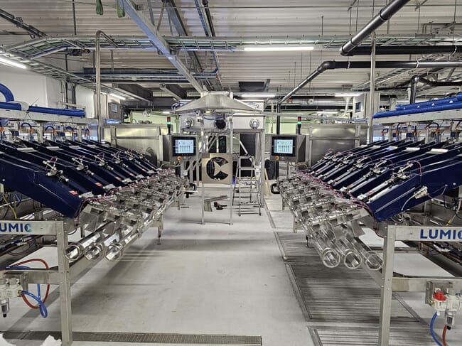 Machines for vaccinating fish.