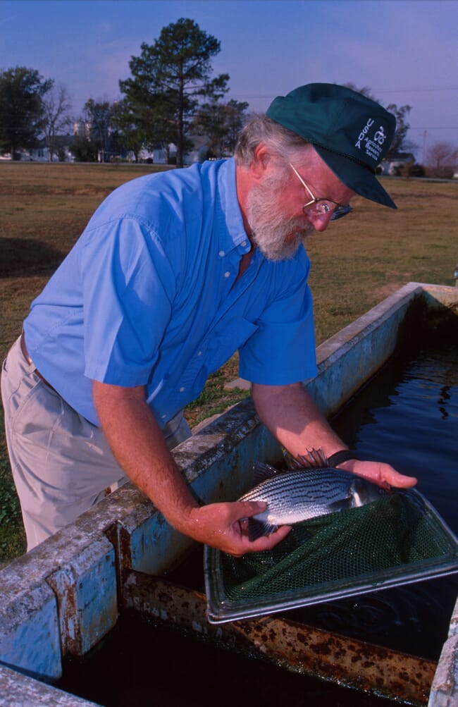 A man holding a fish.
