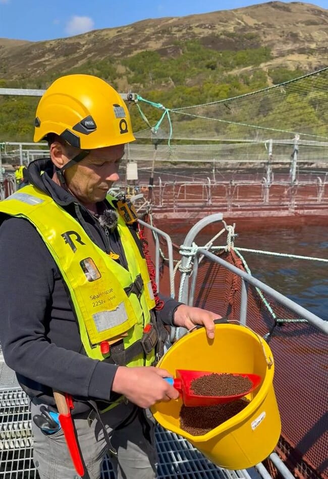 A man with a bucket of fish feed.
