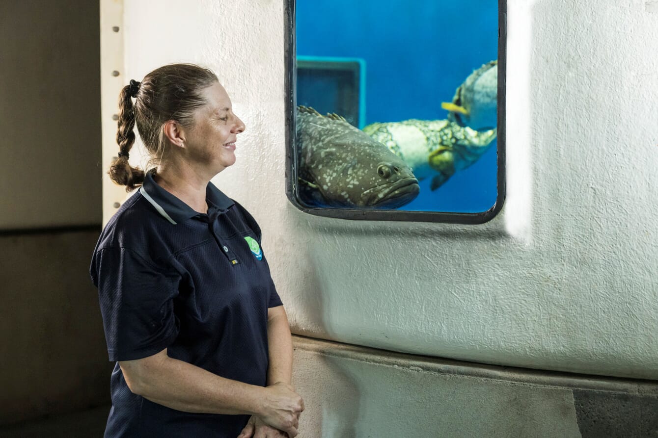 A woman beside a fish tank with a window in it.