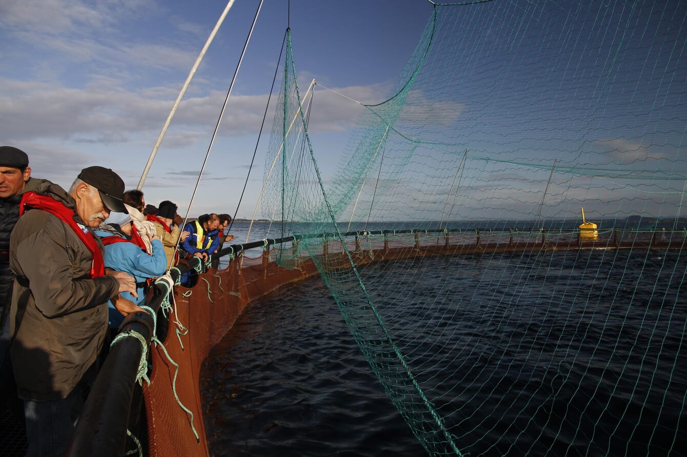 A group of people visiting a fish farm in Norway.