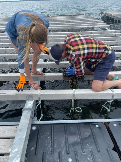 two people standing on a mussel raft