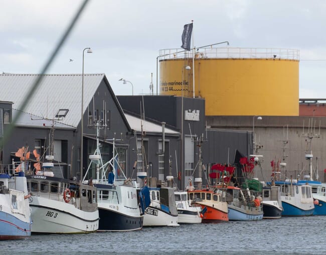 A port with many fishing vessels.