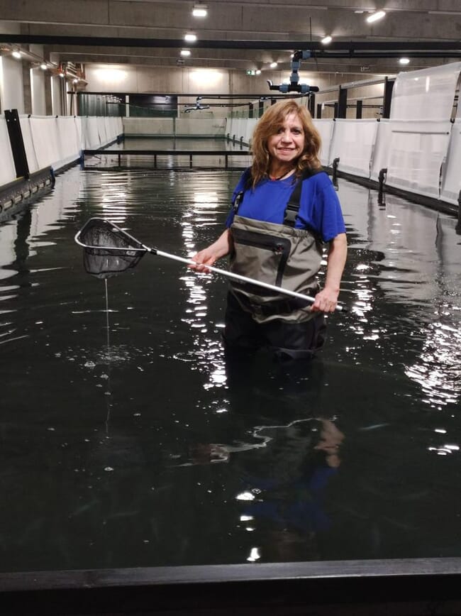 Janeth Chavez Zambrano wading into the shrimp tanks