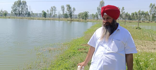 A man by a fish pond.