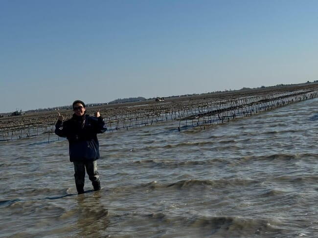 A person standing in the sea in front of a large oyster farm.