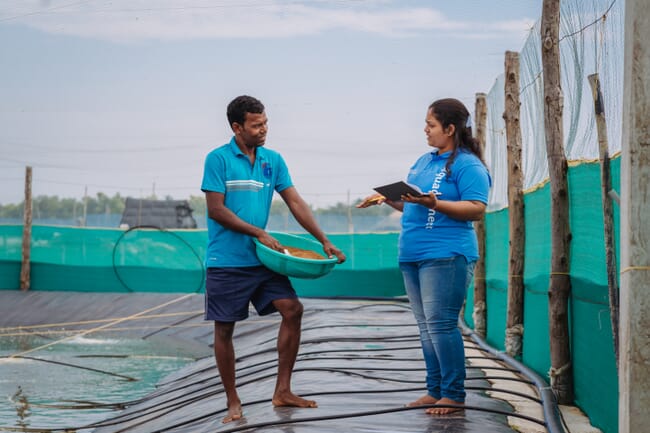 Man holding a feed bucket and a woman standing near a shrimp pond