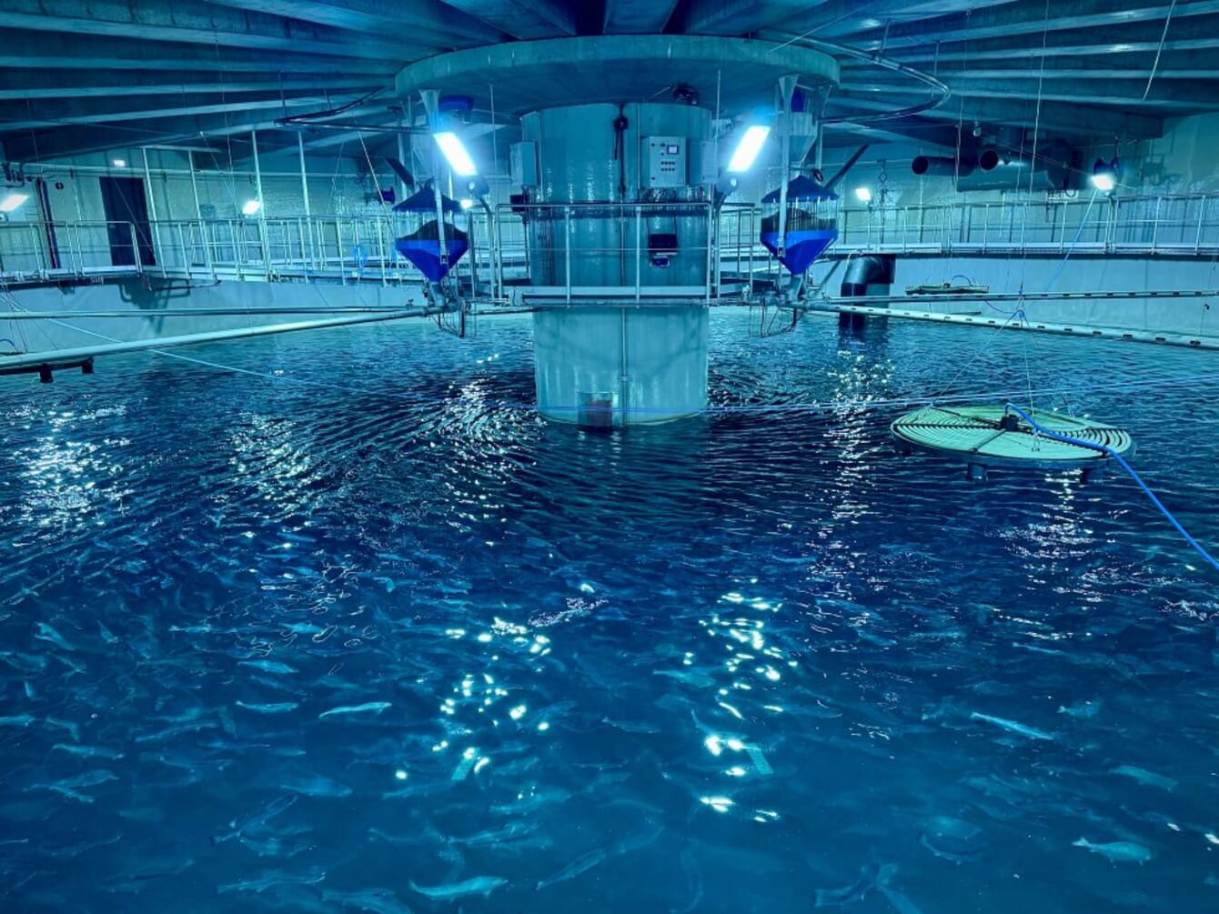 An indoor fish farm.