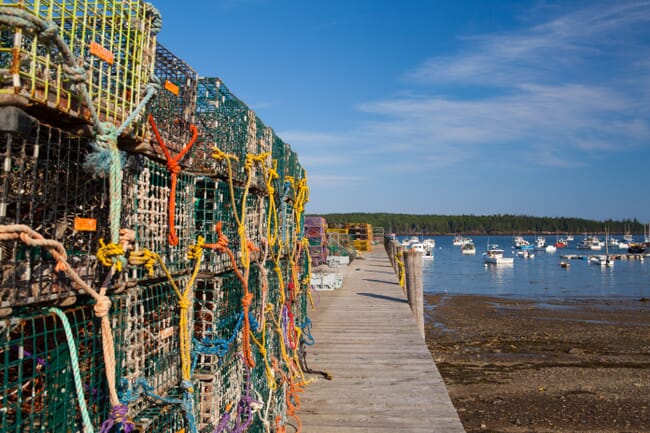 Crab farming baskets in Maine