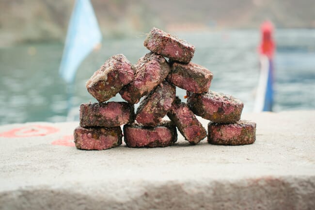 Many disks for coral growth.