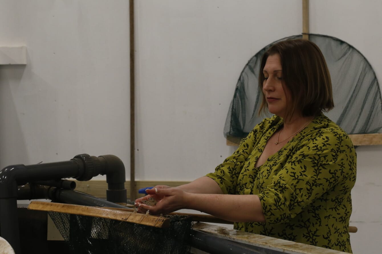 A woman standing behind a tank of shrimp.