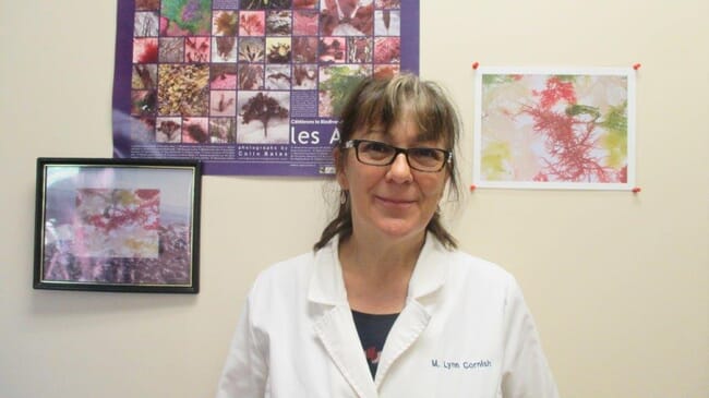 Melania Lynn Cornish