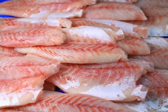 Nile perch fillets
