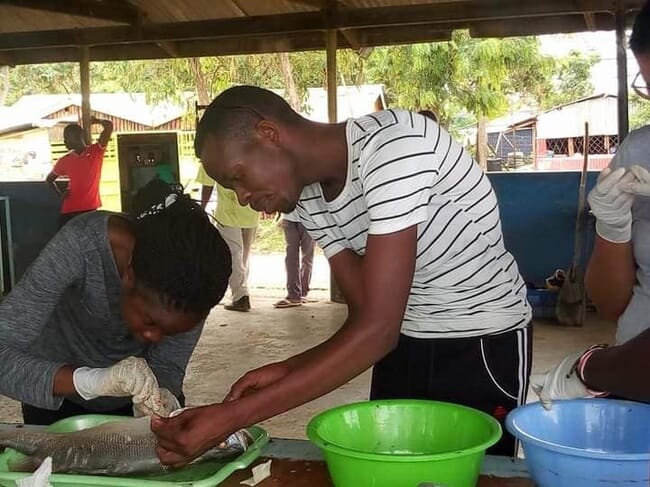 man and woman studying a fish