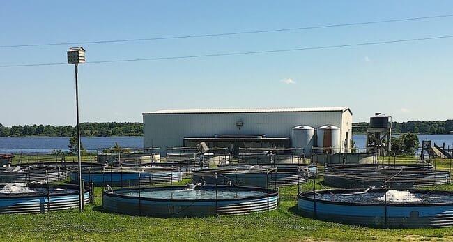Circular fish ponds in front of a building.