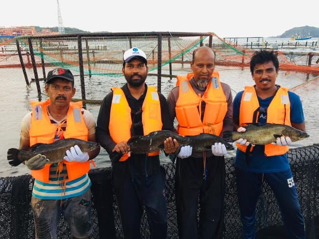 aquaculture technicians
