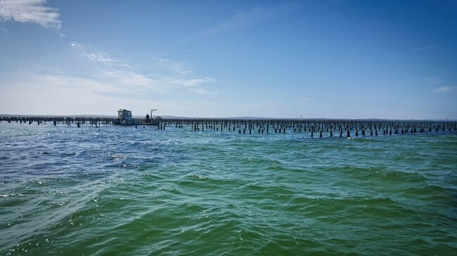 A shellfish farm seen from the sea.