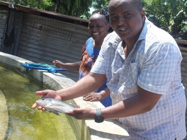 Paul Murage holding a tilapia.